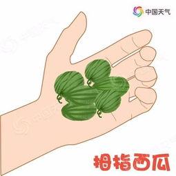 小夏带你吃瓜,揭秘娱乐圈那些事儿