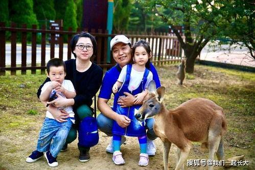 吃瓜的鹿,揭秘动物界的“吃瓜群众”