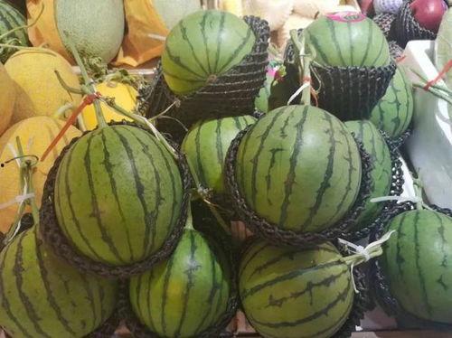 吃瓜黄料,吃瓜黄料背后的真相与启示