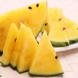 裤子瓜怎么吃才好吃,解锁最佳食用技巧