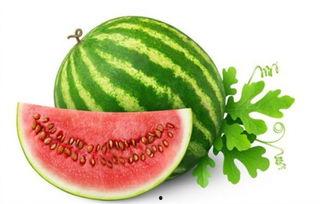 吃瓜吃到柠檬,揭秘娱乐圈的酸甜苦辣