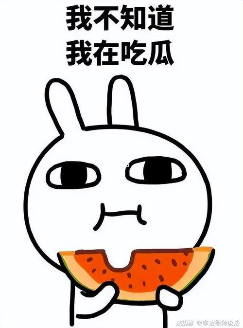 瓜瓜吃瓜是什么文体,揭秘娱乐圈幕后风云