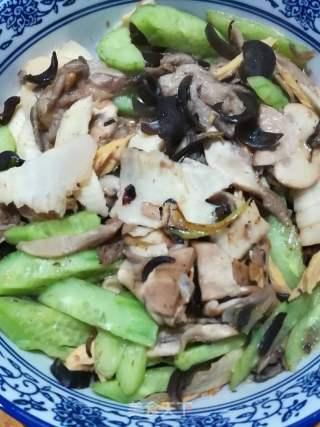 逆袭吃瓜菌,揭秘网络红人的崛起之路