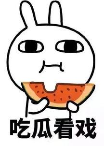 瓷砖吃瓜,探寻瓷砖艺术与生活美学