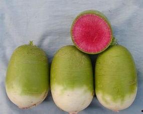 胀肚子吃瓜,胀肚子吃瓜，畅快一夏