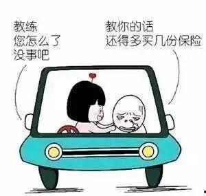 驾校教练吃瓜搞笑段子,笑料百出，教学两不误