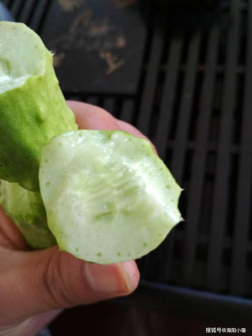 白玉瓜天天吃,健康生活每一天