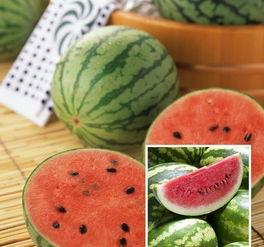 吃瓜头像五人,揭秘娱乐圈幕后风云