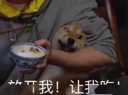 猛鬼宿舍带你吃瓜,揭秘校园惊悚事件，带你吃瓜探秘！