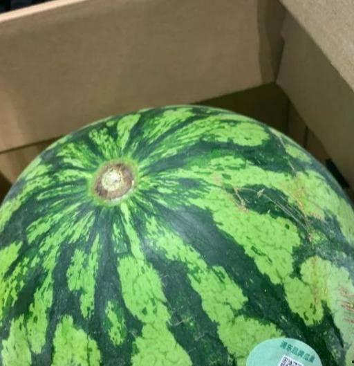 吃瓜船真假,真伪难辨的神秘传说