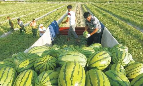 吃瓜影视初冬之约,暖意融融的冬日观影盛宴