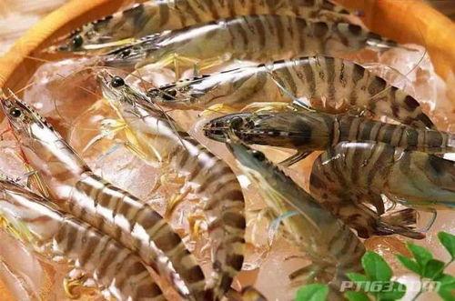 福州海鲜蒋大拿吃瓜,揭秘海鲜界的“吃瓜”传奇