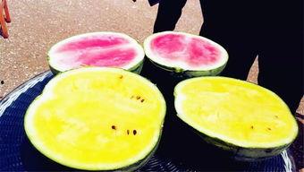 颜色吃瓜爆料,揭秘各色瓜果背后的惊人爆料