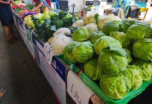 咸鱼来瓜摊吃瓜,咸鱼来瓜摊吃瓜的奇妙之旅