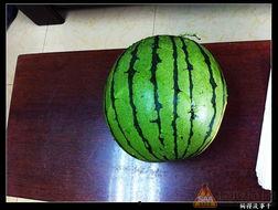 52 43秒 吃瓜,揭秘娱乐圈幕后真相