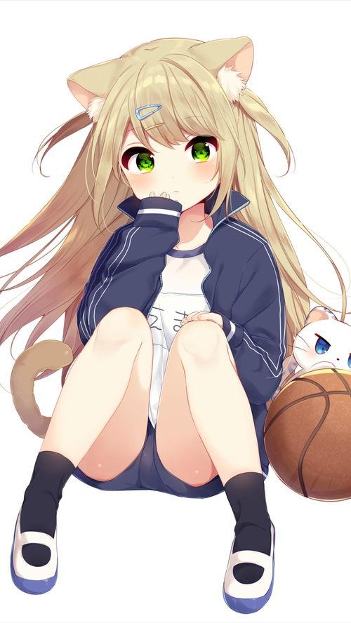 吃瓜少女与猹,一场意外的瓜田奇遇