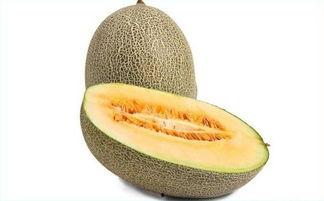 吃哈密瓜 性寒