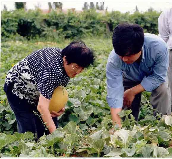 汉院吃瓜,揭秘校园吃瓜背后的故事