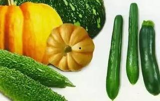 各种热门事件吃瓜,吃瓜群众视角下的社会百态