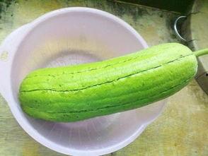 水瓜可以晒干吃么,传统美食的保存与美味延续