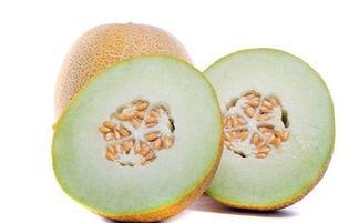 排卵期吃哈密瓜好吗,助孕养生的天然选择”