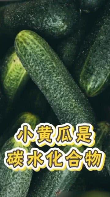 肥胖可以吃瓜么,适量吃瓜，健康生活新选择