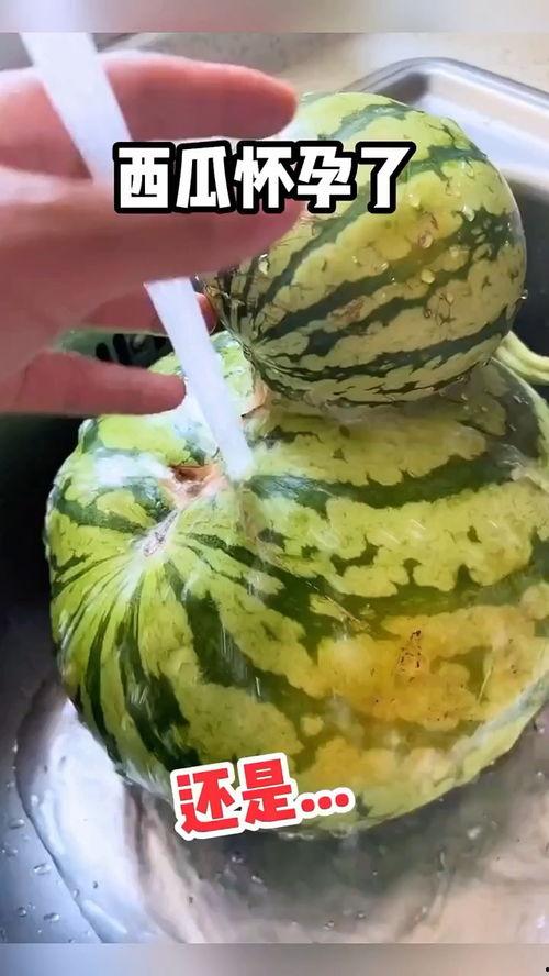 有趣的视频吃瓜,揭秘那些让人捧腹大笑的吃瓜视频