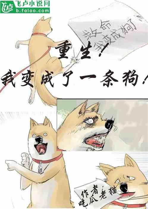 吃瓜发疯小说在线阅读,一场小说世界的狂欢盛宴