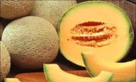 能到吃哈密瓜