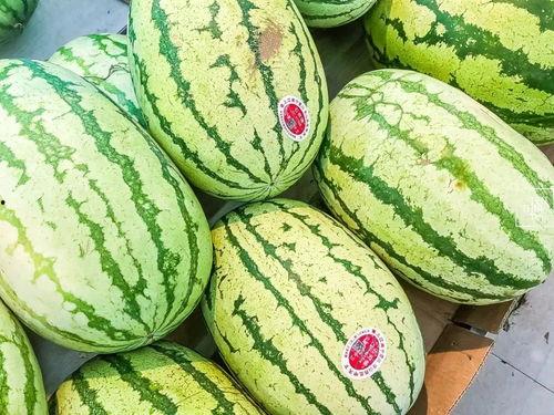 架瓜怎么做着吃