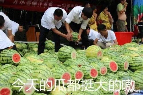 菏泽吃瓜日记,揭秘当地美食风情