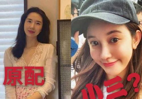 张大奕吃瓜全集,揭秘娱乐圈幕后风云