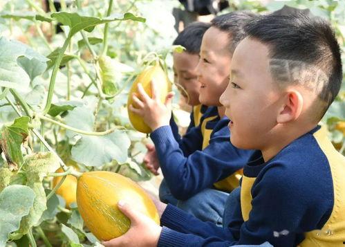 黄律师吃瓜,揭秘娱乐圈幕后真相